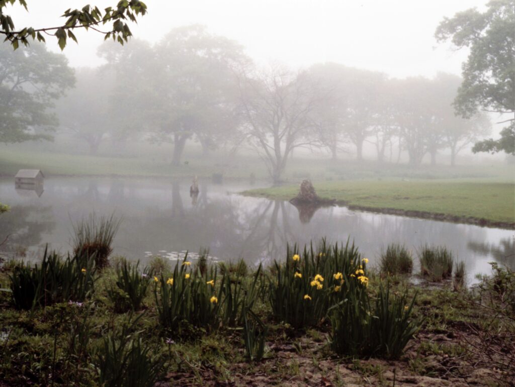 Foggy morning on a small lake