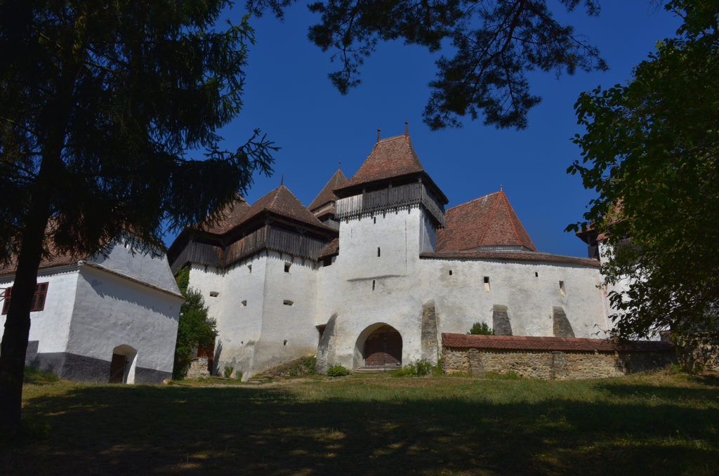 ancient castle fortress