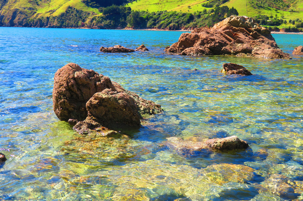 beautiful water in a new zealand bay