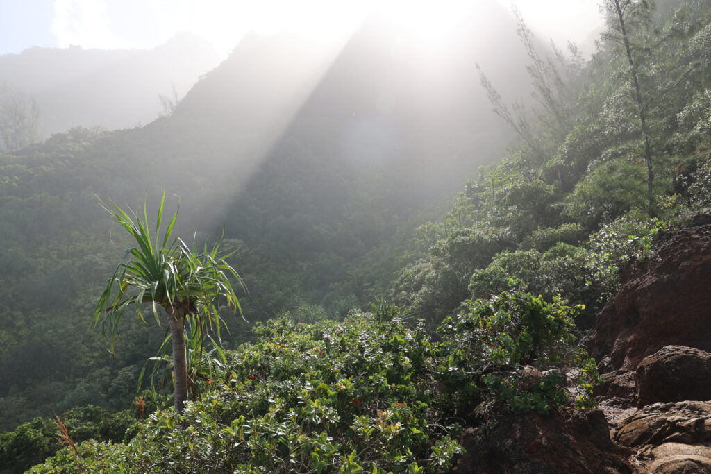 Kauai Trail