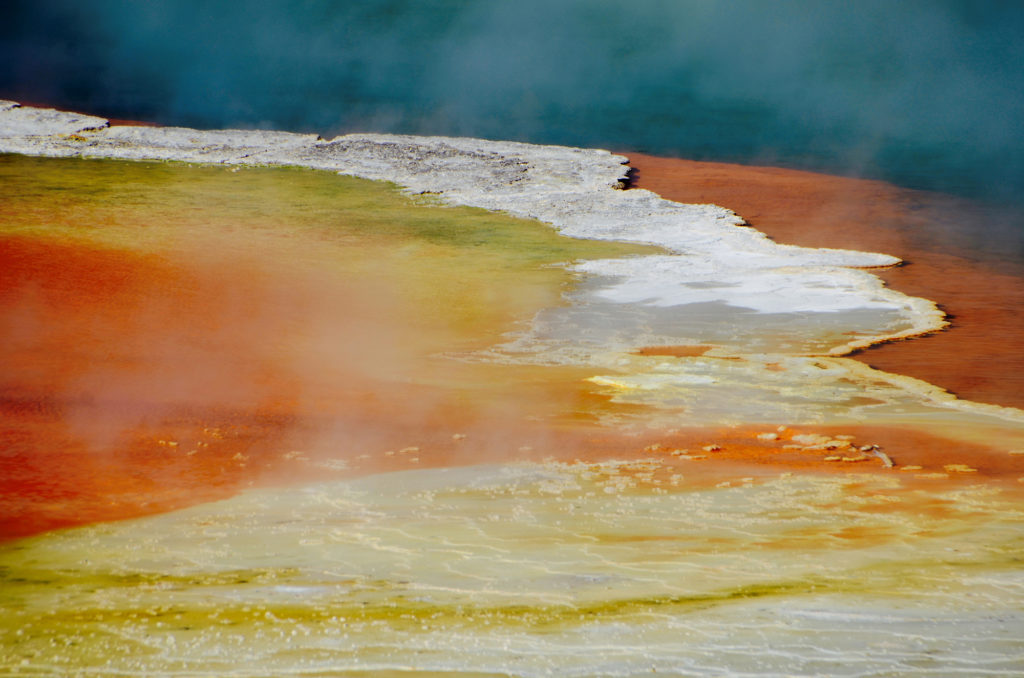 new zealand version of yellowstone