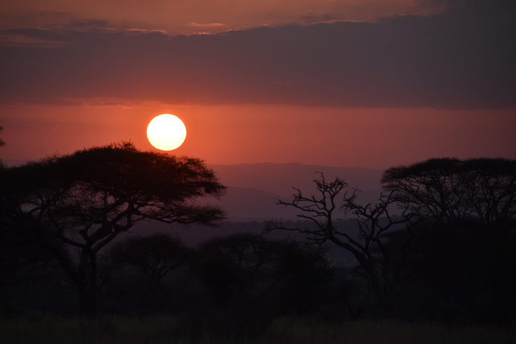 tanzanian sunset