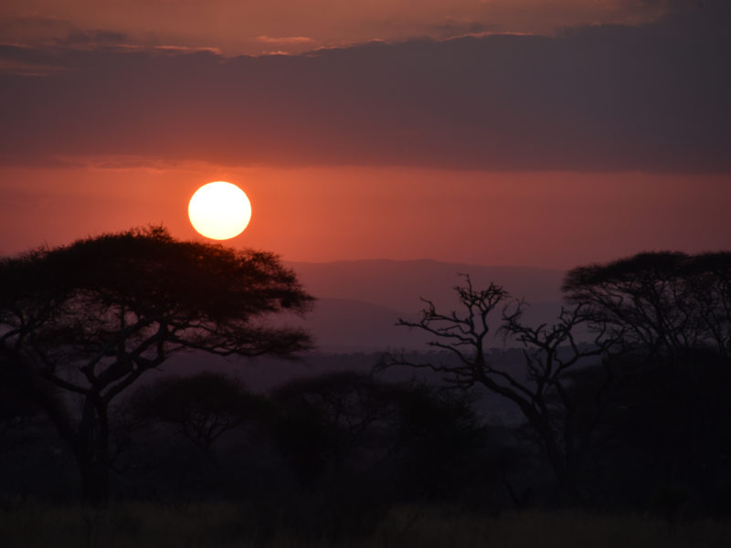 tanzanian sunset