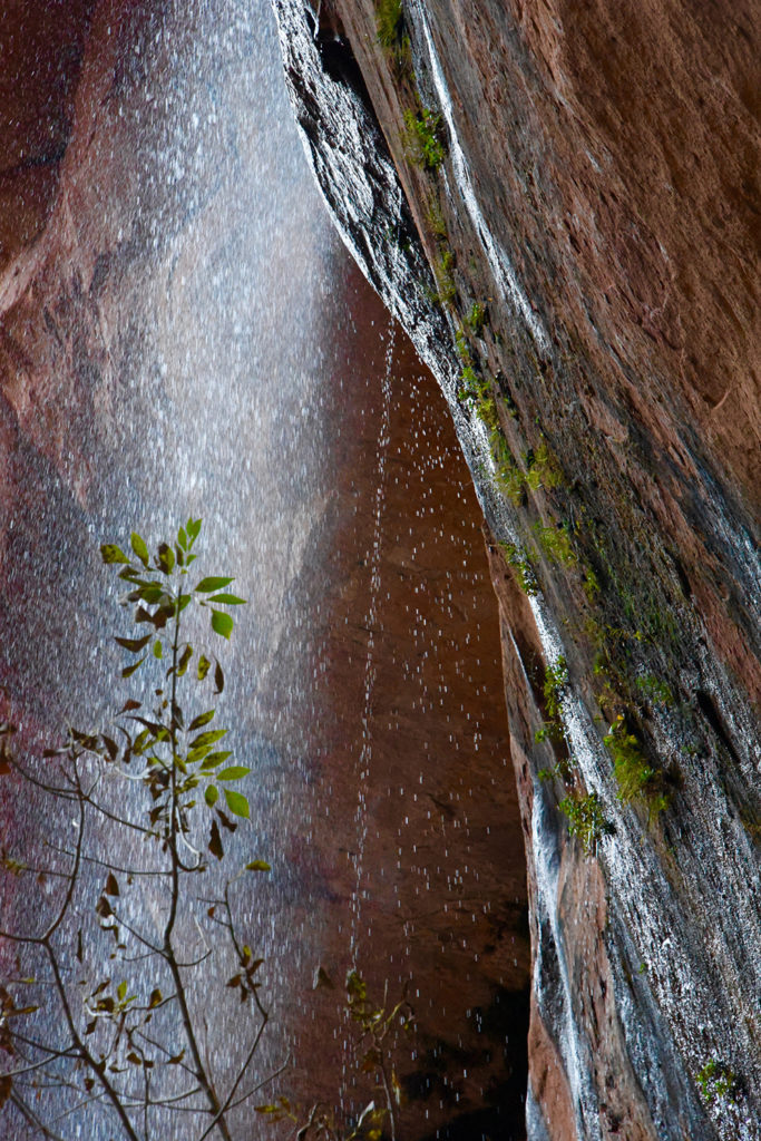 zion mini waterfall