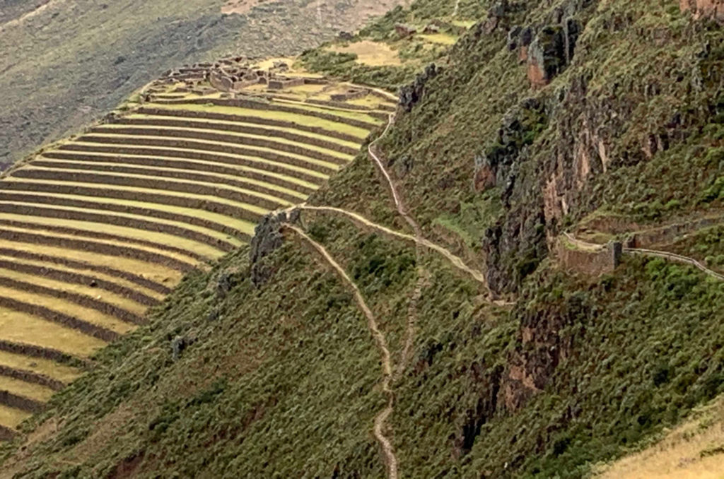 Inca ruins and terraces