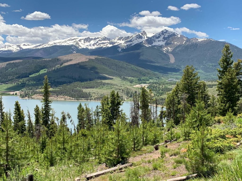 Trees, Lake and Far Mountain View - Banff, Canada