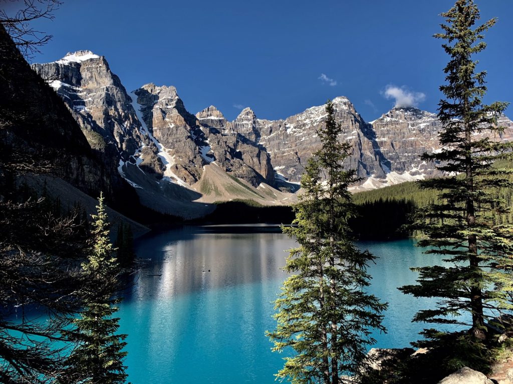 Trees, Mountain and Lake Moraine View - Banff, Canada