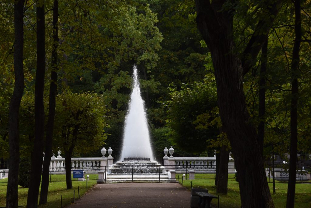 water fountain surrounded by trees