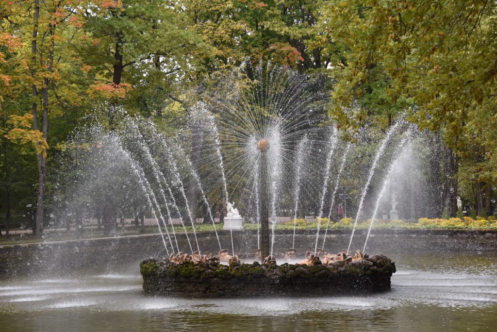 water fountain in the middle of pond