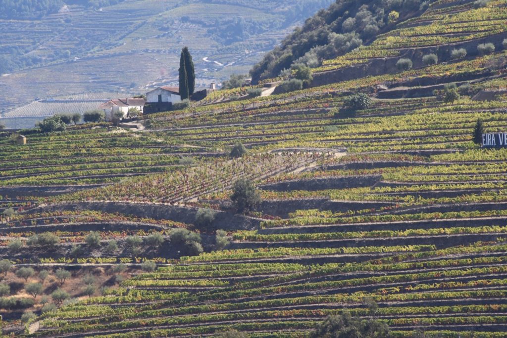 mountain in douro, portugal