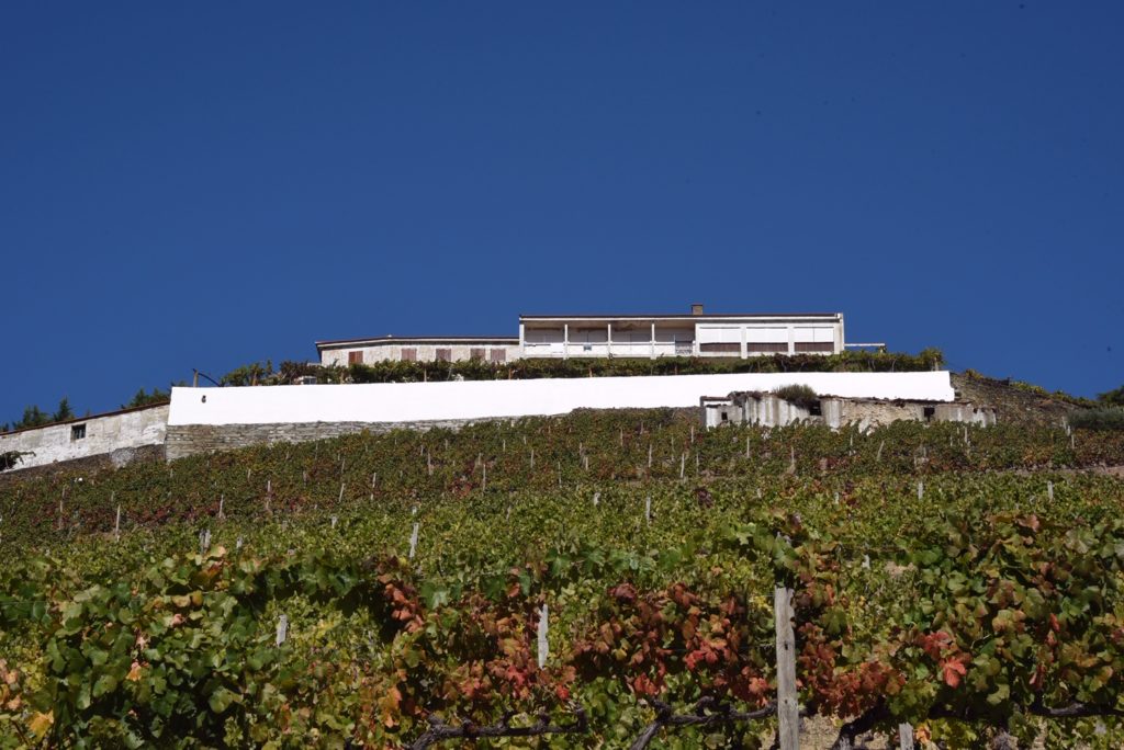 garden mountain with building above