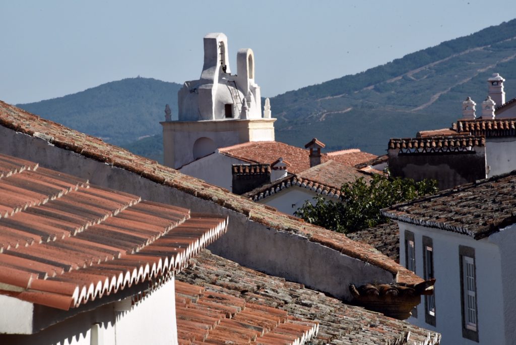 roofs of building