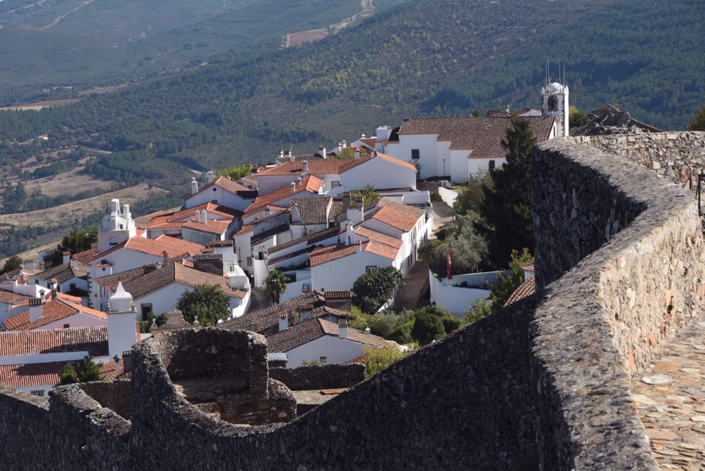 sky view of buildings and trees