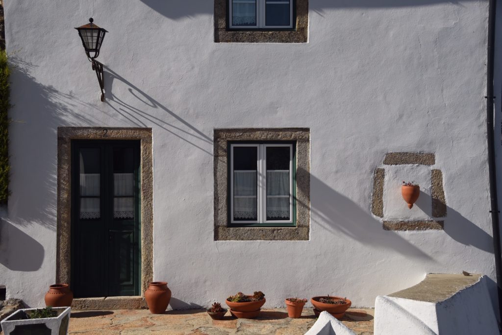 white building with green door and plant hanging from wall