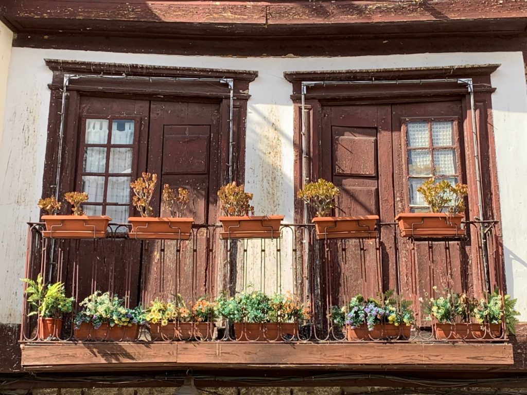 two doors with plants on the patio