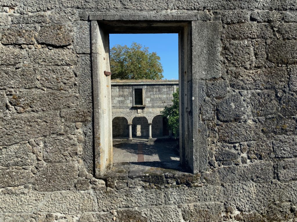 tree and building through a window