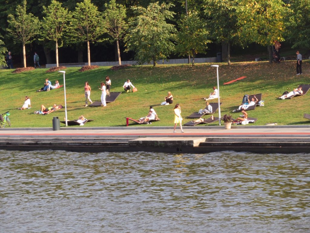 people laying in field next to a pond