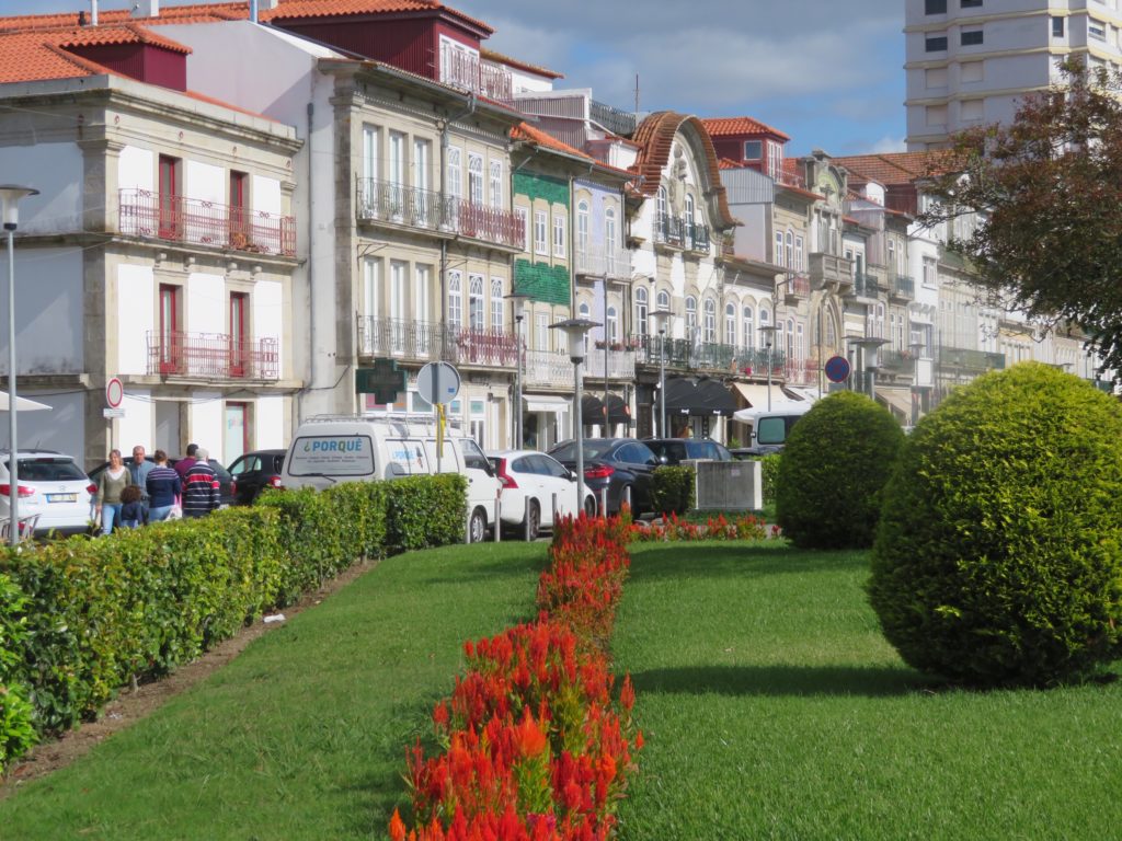 red flowers with multiple buildings