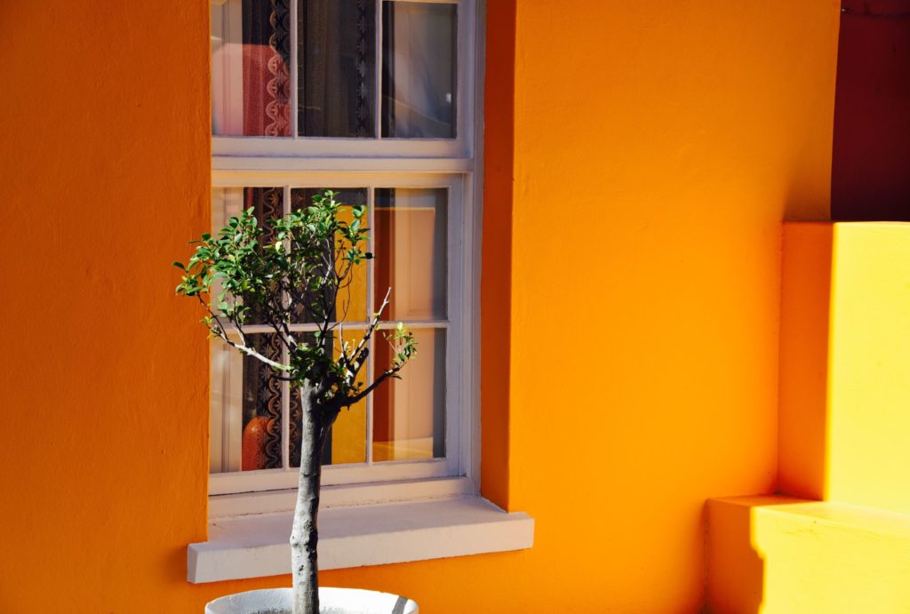 orange building with plant