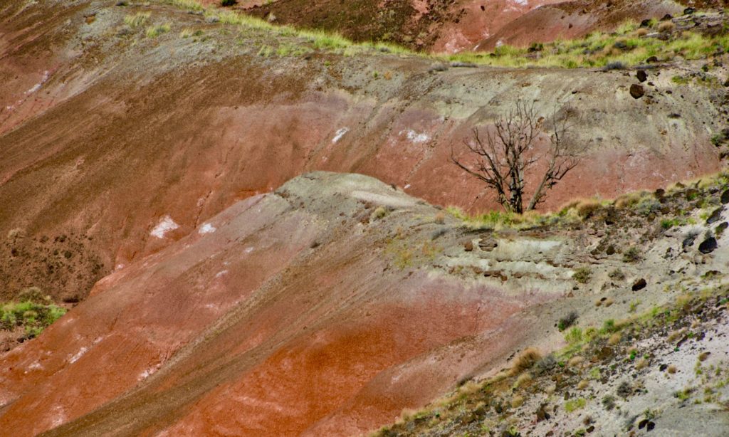 Painted Desert