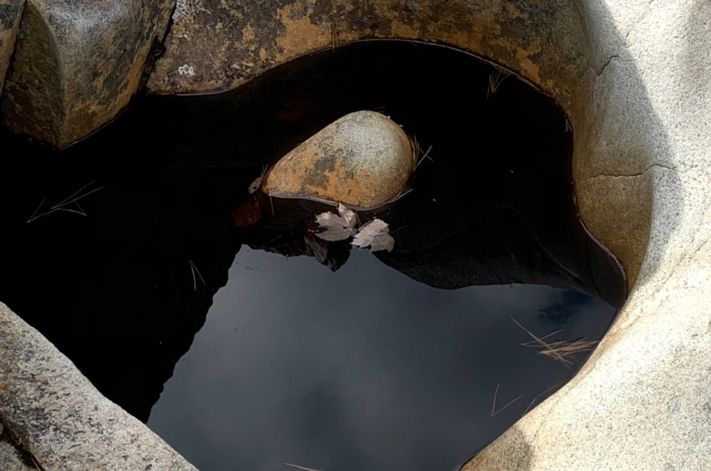 Rock in a Pool