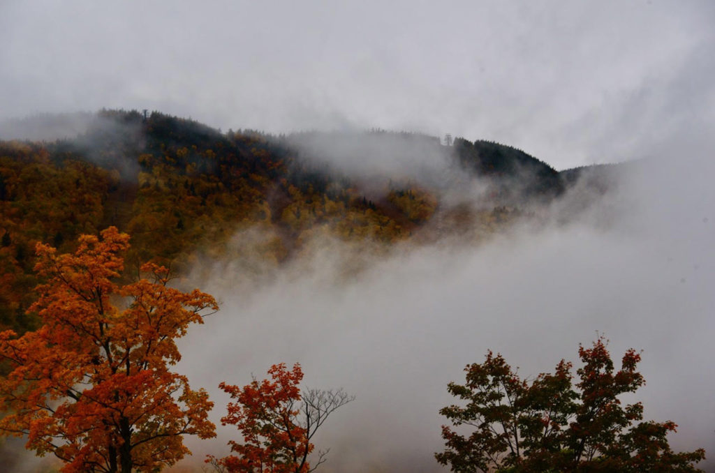 morning fog vt