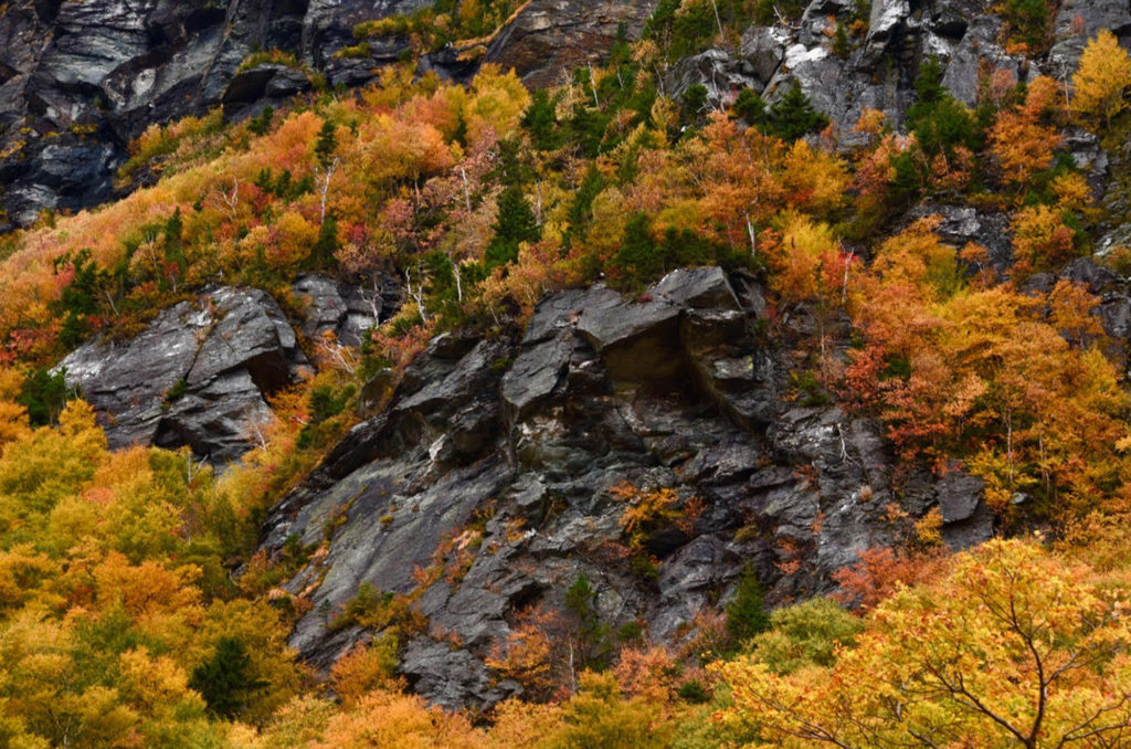 smuggler's notch