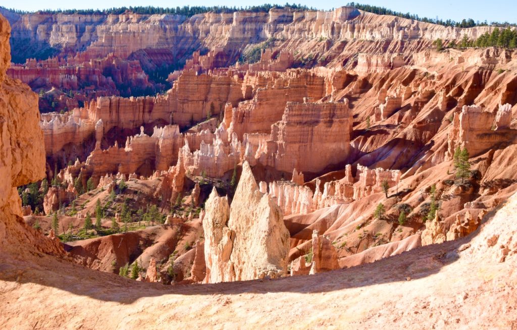 Through the Canyon Window