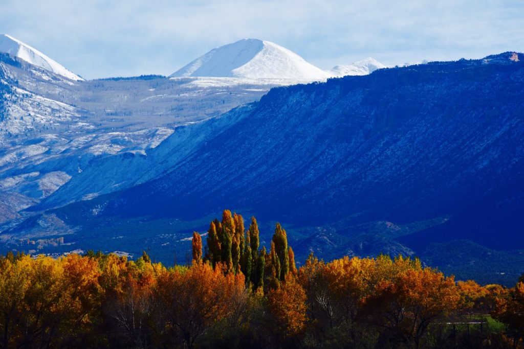 Back Road, Early Snow, Late Fall