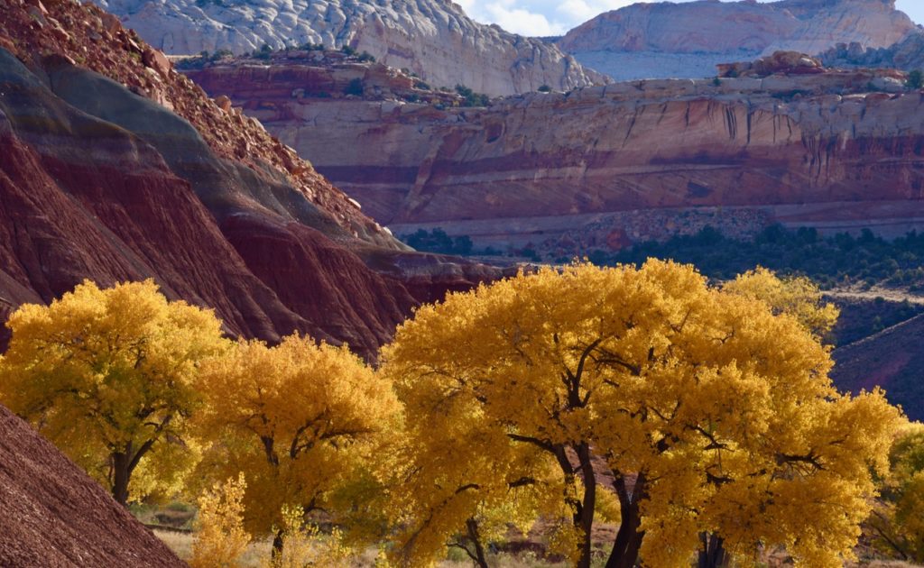 Late Autumn in Capitol Reef National Park