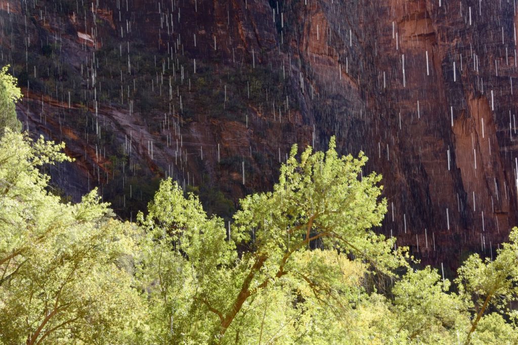 Sun Shower