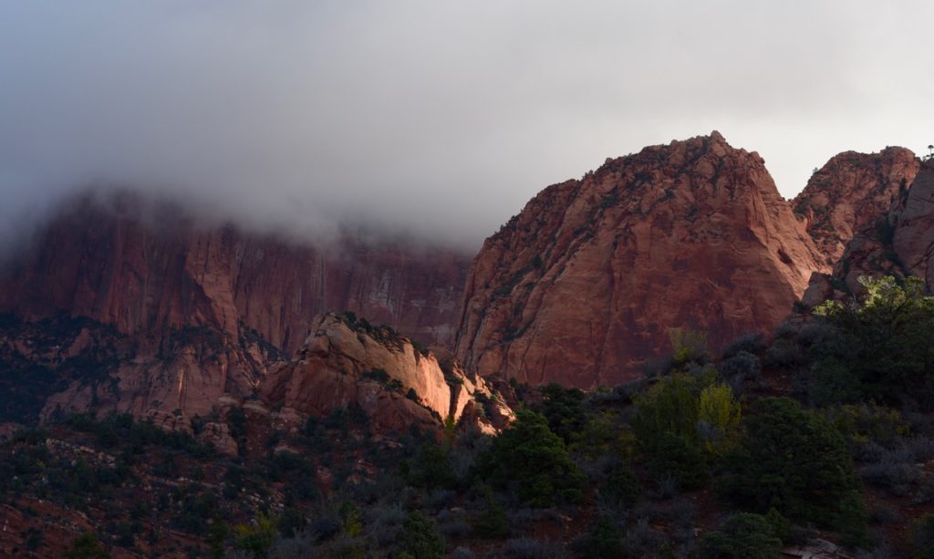 Zion National Park