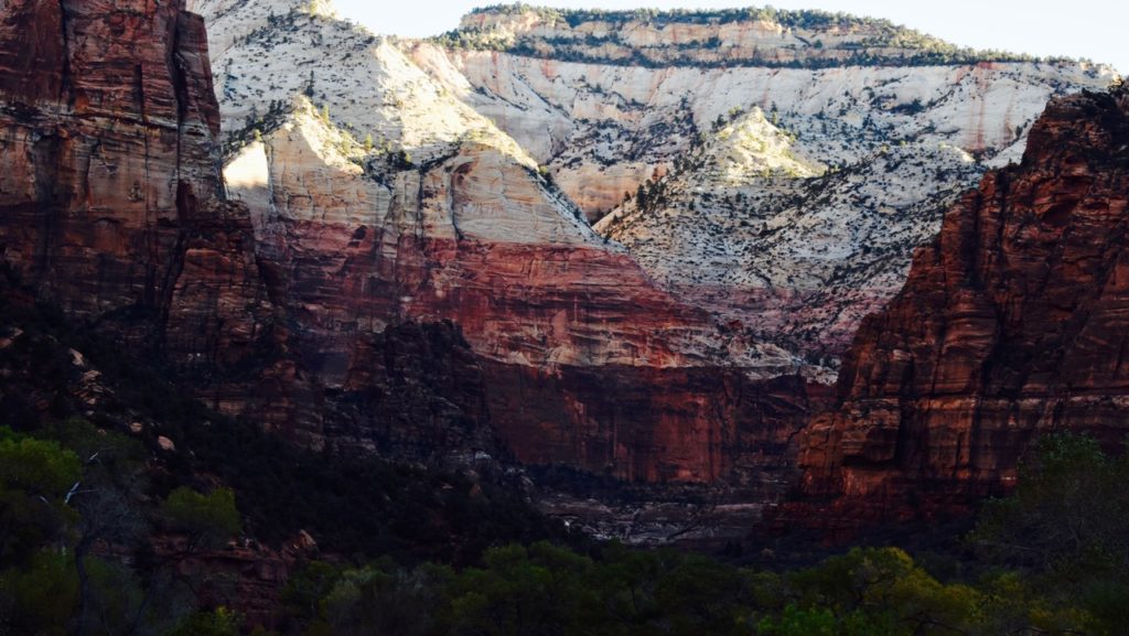 Zion Landscape