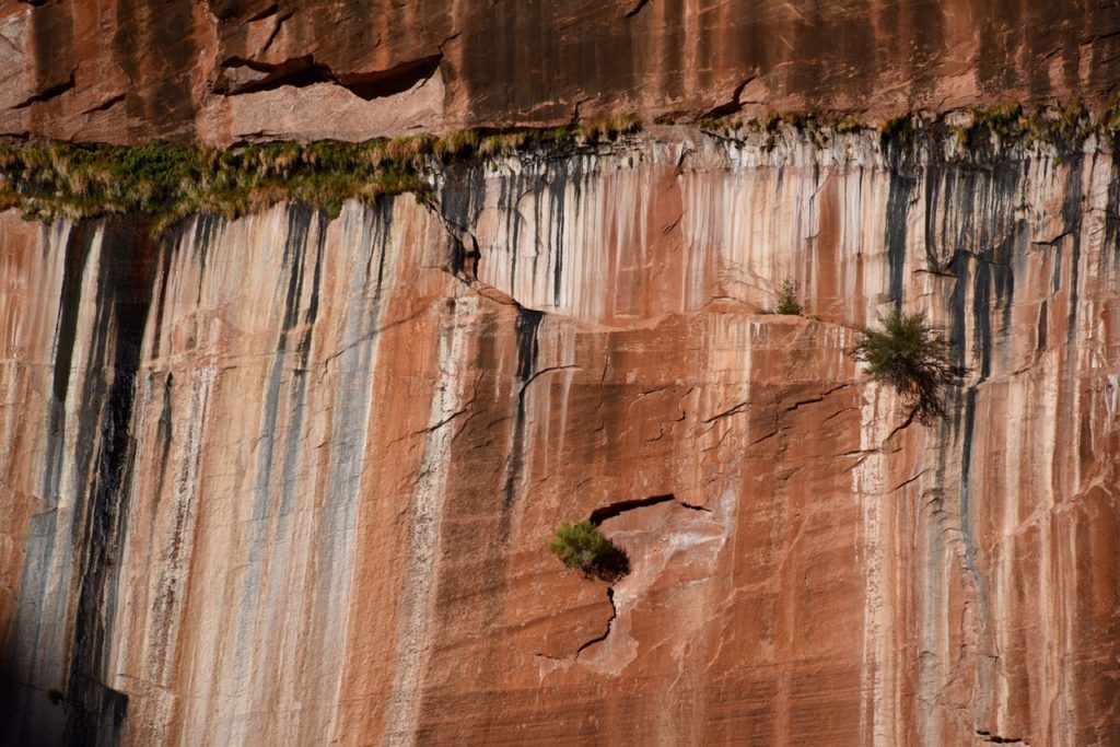 Zion National Park