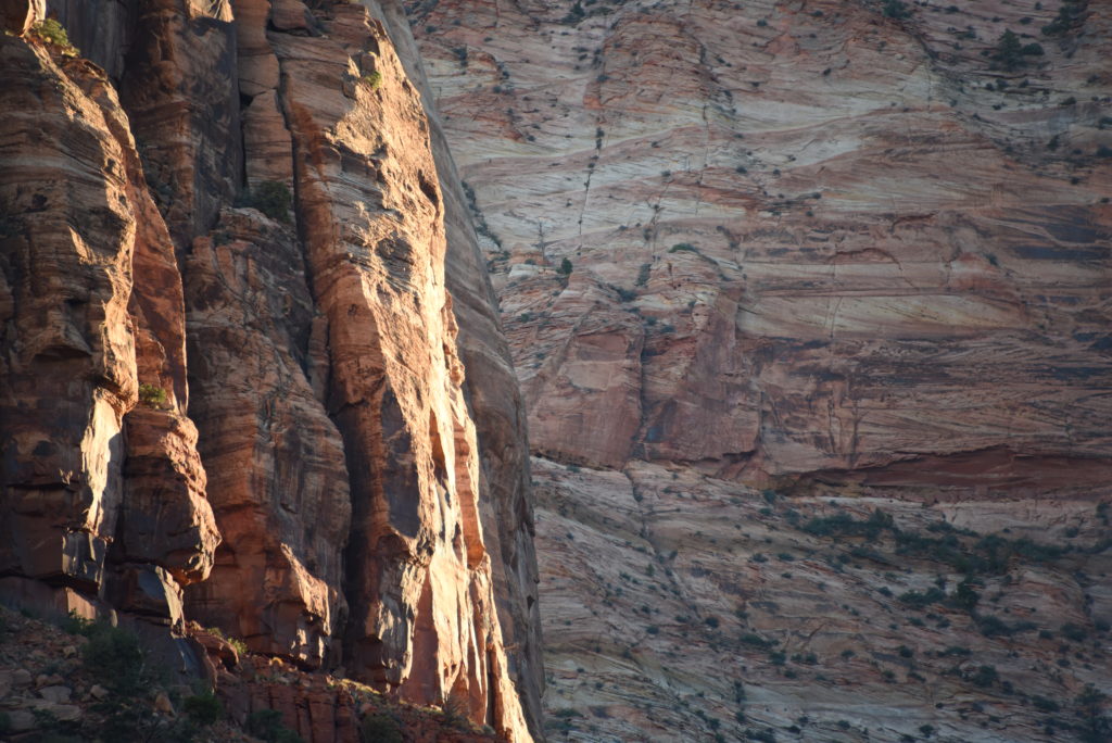 Cliffside in Zion National Park