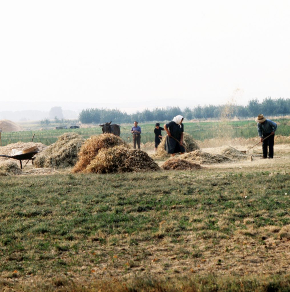 Farming in Spain