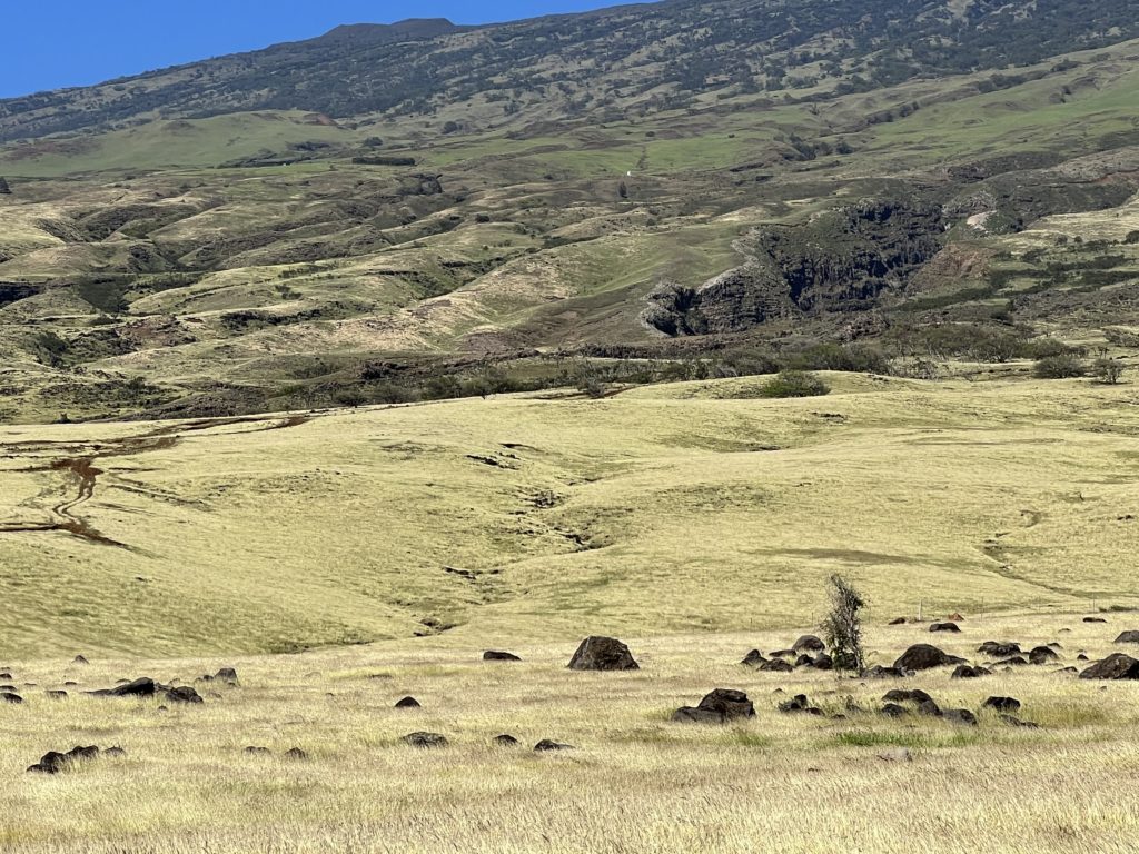 East Maui - Lava Rocks