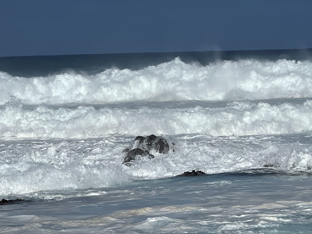 Maui, North Shore - Surf's Up