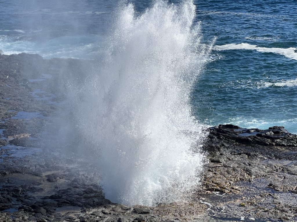 Spouting Horn Park