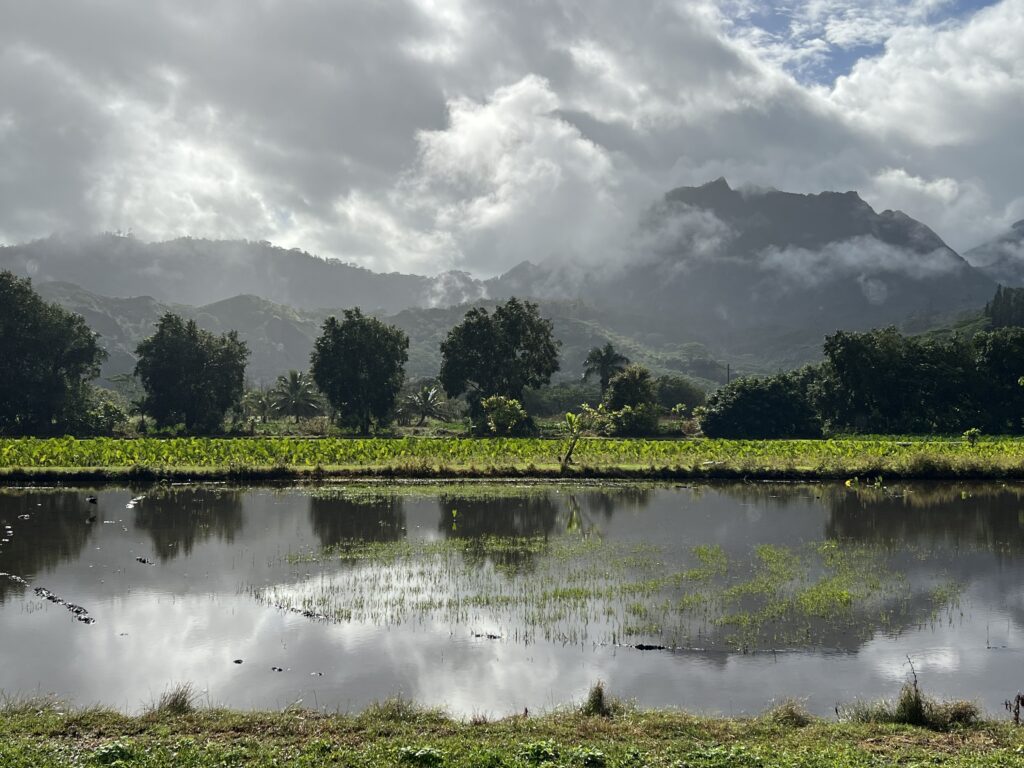 Hanalei Views