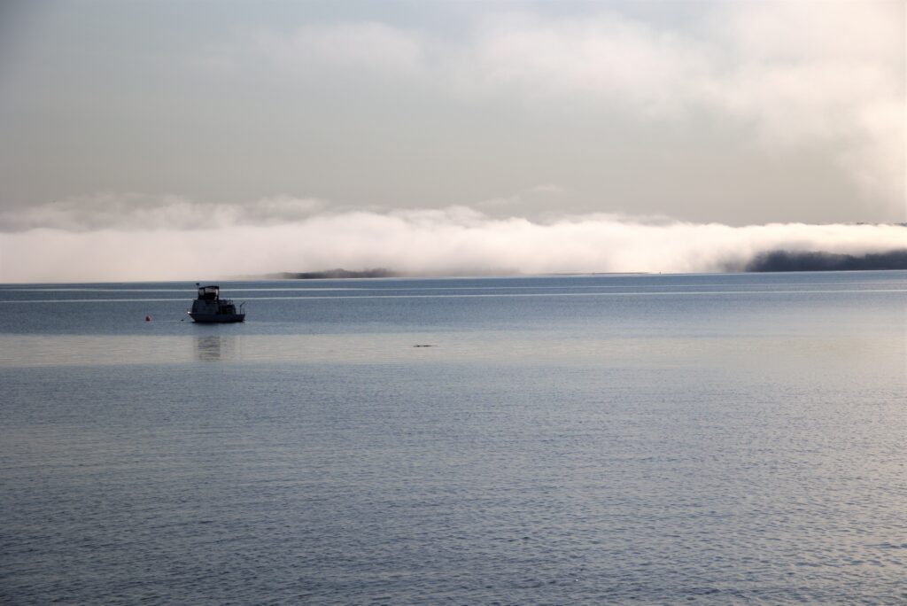 Early morning fog, Nova Scotia