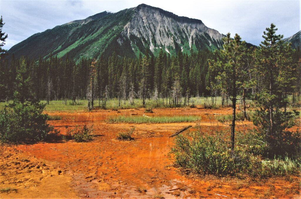 Yellowstone